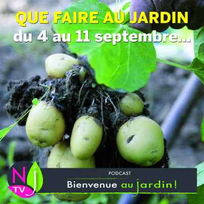 QUE FAIRE AU JARDIN DU 4 AU 11 SEPTEMBRE ? cover