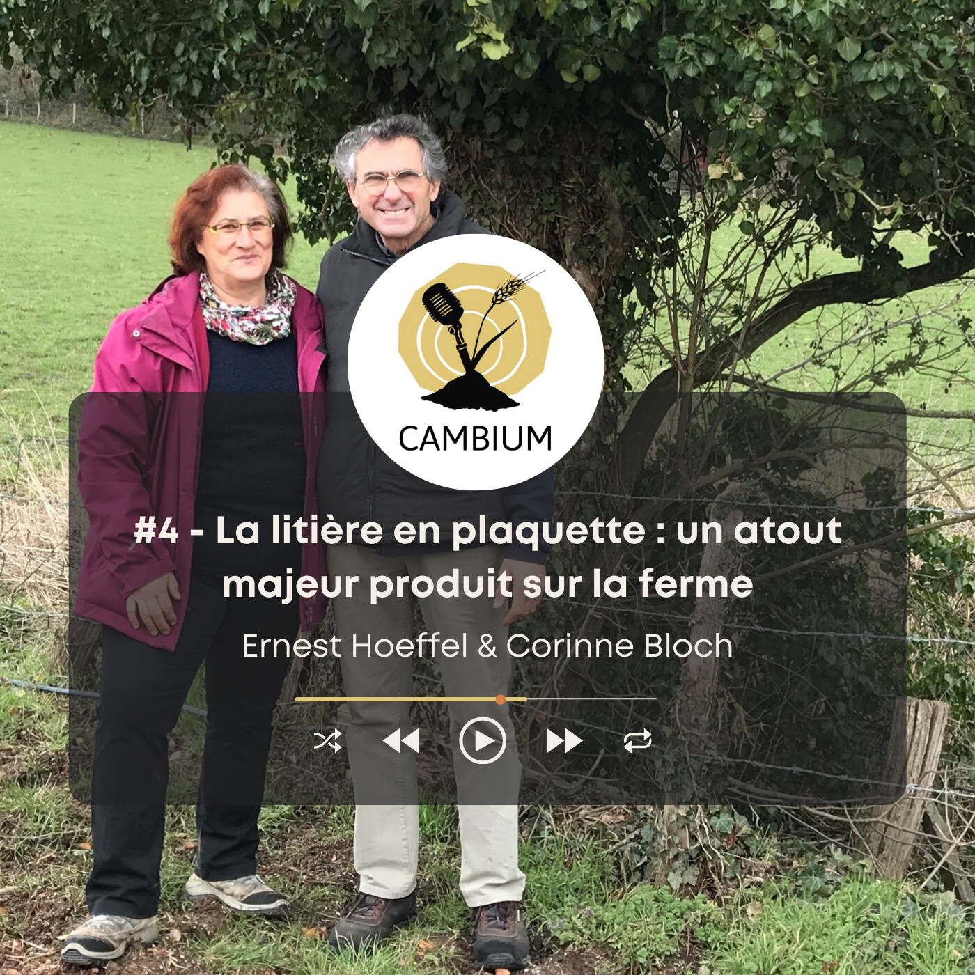 CAMBIUM, le podcast de l\'agroforesterie