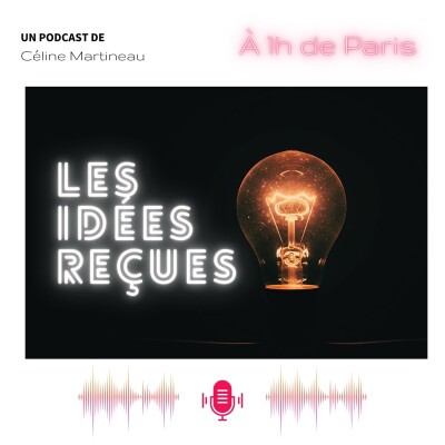 Les idées reçues cover
