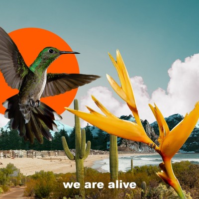 Une vie cachée cover