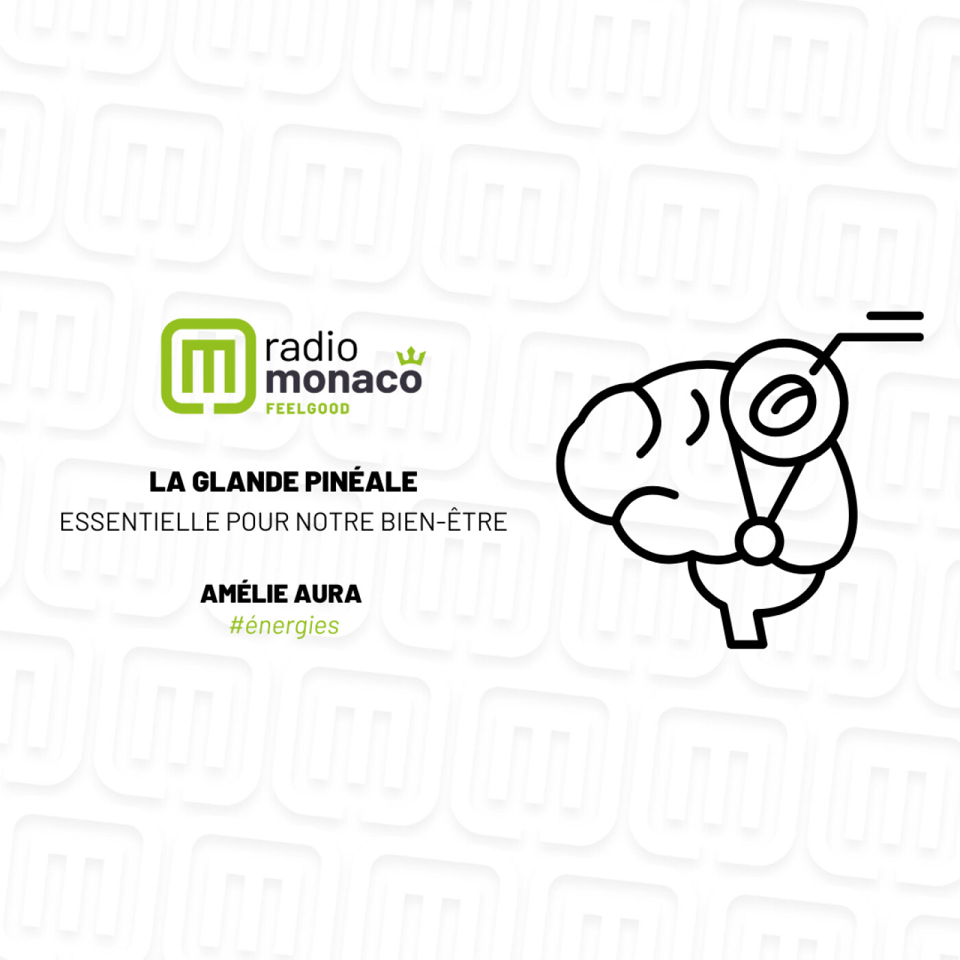 Le rôle essentiel de la glande pinéale dans notre bien-être episode artwork