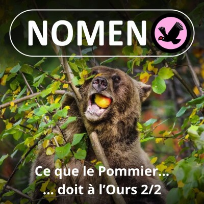 S04E08 Ce que le Pommier doit à l'Ours 2/2 cover