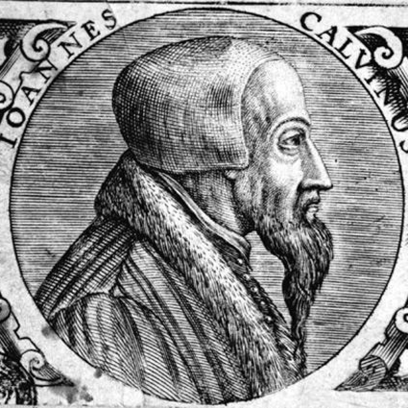 Special guests // Stepchildren of the Reformation: Calvin's Family Drama episode artwork