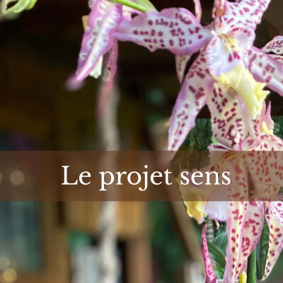 Le Projet sens ou Empreinte de naissance cover
