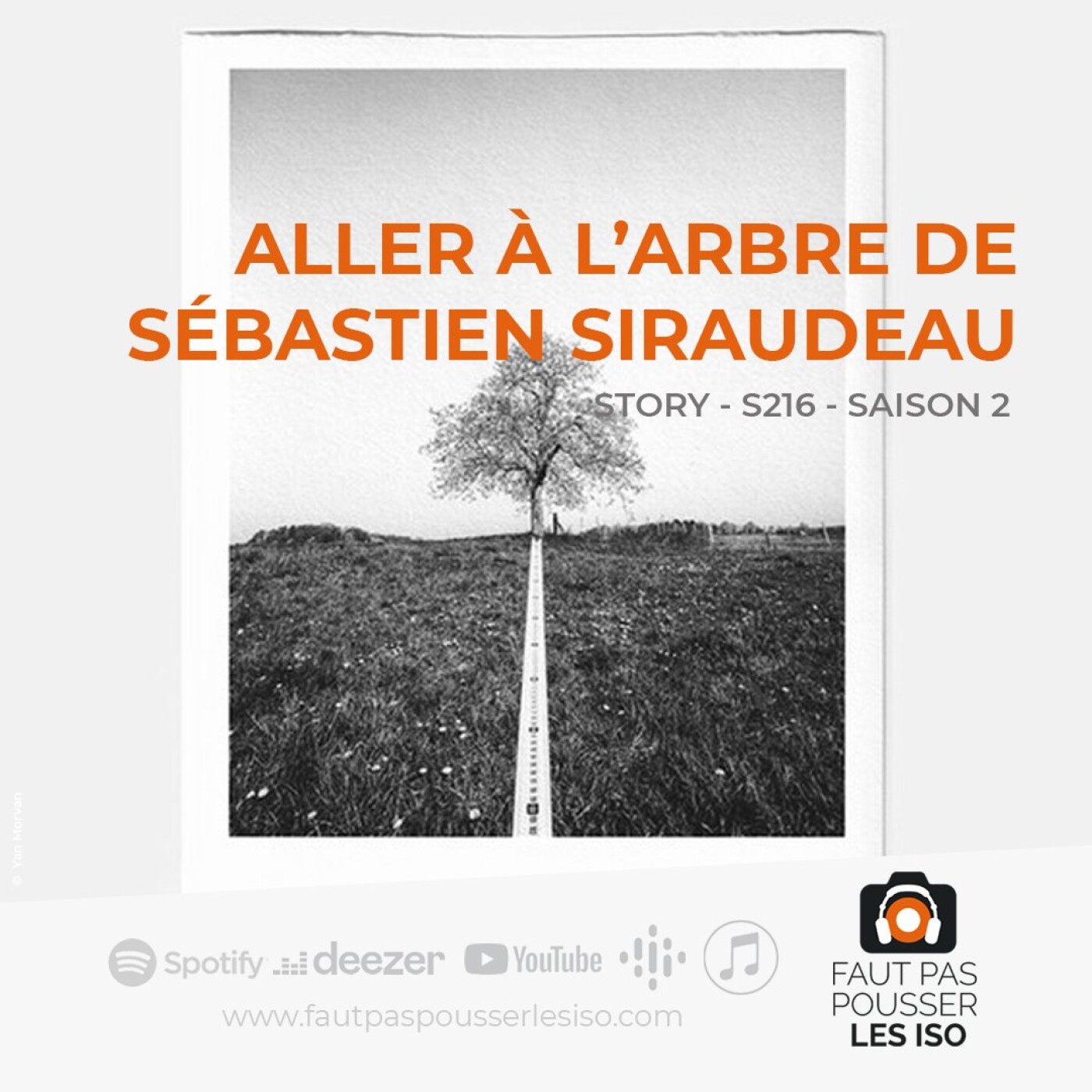 STORY - S216 - Aller à l'arbre de Sébastien Siraudeau