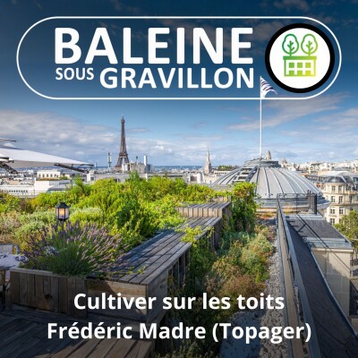 S01E08 Créer un max de potagers et de jardins... sur les toits (Frédéric Madre, Topager) cover