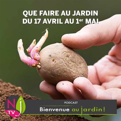 QUE FAIRE AU JARDIN DU 17 AU 24 AVRIL ? cover