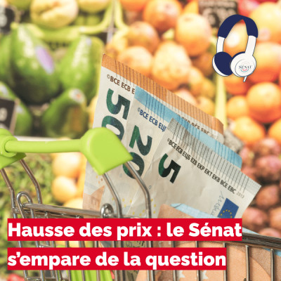 Hausse des prix : le Sénat s’empare de la question cover