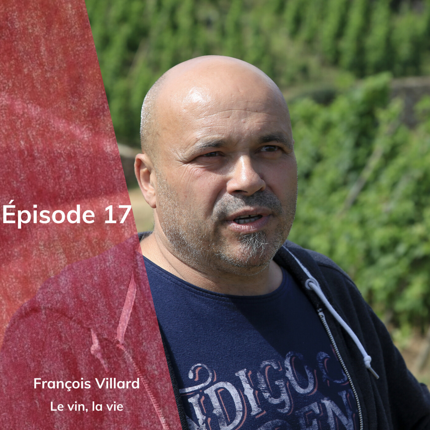 Episode 17 : François Villard, le vin, la vie