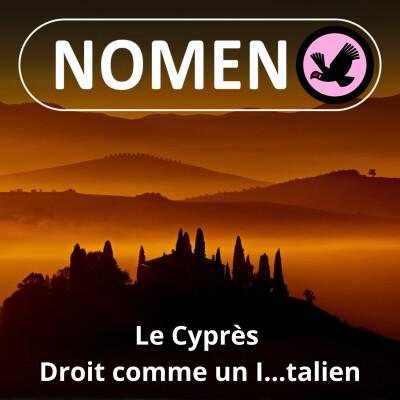 Show cover
