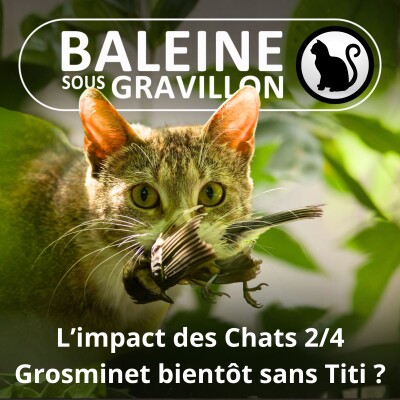 S02E53 L'impact des Chats 2/4 : Grosminet bientôt sans Titi ? cover