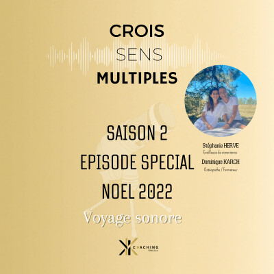 #S2#EPISODE SPECIAL NOEL 2022 -Voyage sonore cover