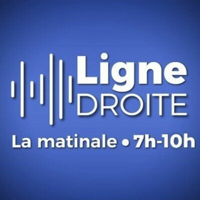 Censure de l'Institut Iliade : quelles suites judiciaires ? - Romain Petitjean cover