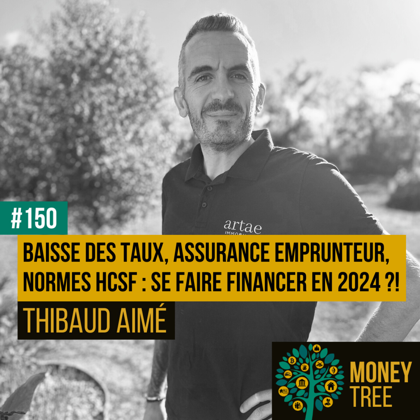 #150 - Baisse des taux, assurance emprunteur, normes HCSF : se faire financer en 2024 ?! (Thibaud Aimé)