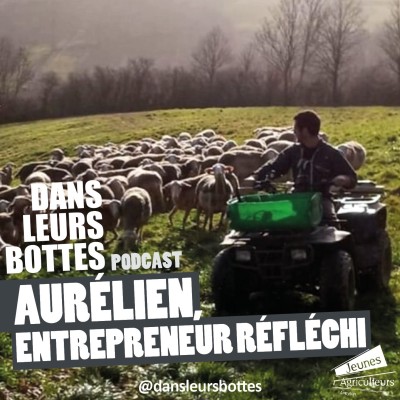 Aurélien, entrepreneur réfléchi cover