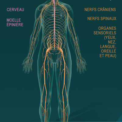 Sortir des dogmes #009 cover