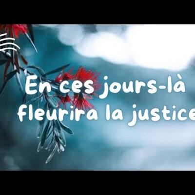 Parole et Évangile du jour | Mardi 17 décembre • S'enraciner pour fleurir ! cover