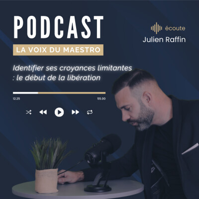 Croyances limitantes et mindset entrepreneurial : Boostez votre succès dans l'immobilier avec La voix du MAESTRO. cover