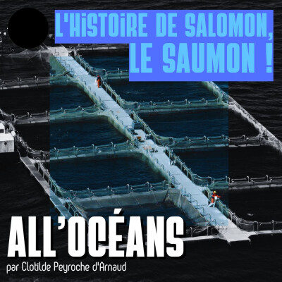 L'histoire de Salomon, le Saumon ! cover