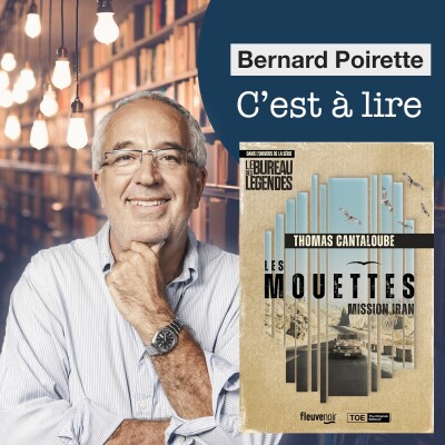 229. "Les Mouettes - Mission Iran" de Thomas Cantaloube cover