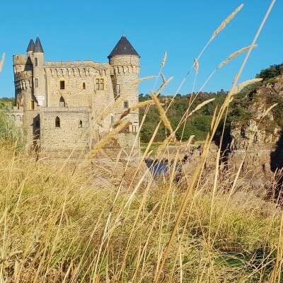 Le podcast des Crieurs publics (Au Château de la Roche) cover
