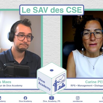 29- LE SAVdesCSE -  Les missions du CSE avec Carine Persin cover