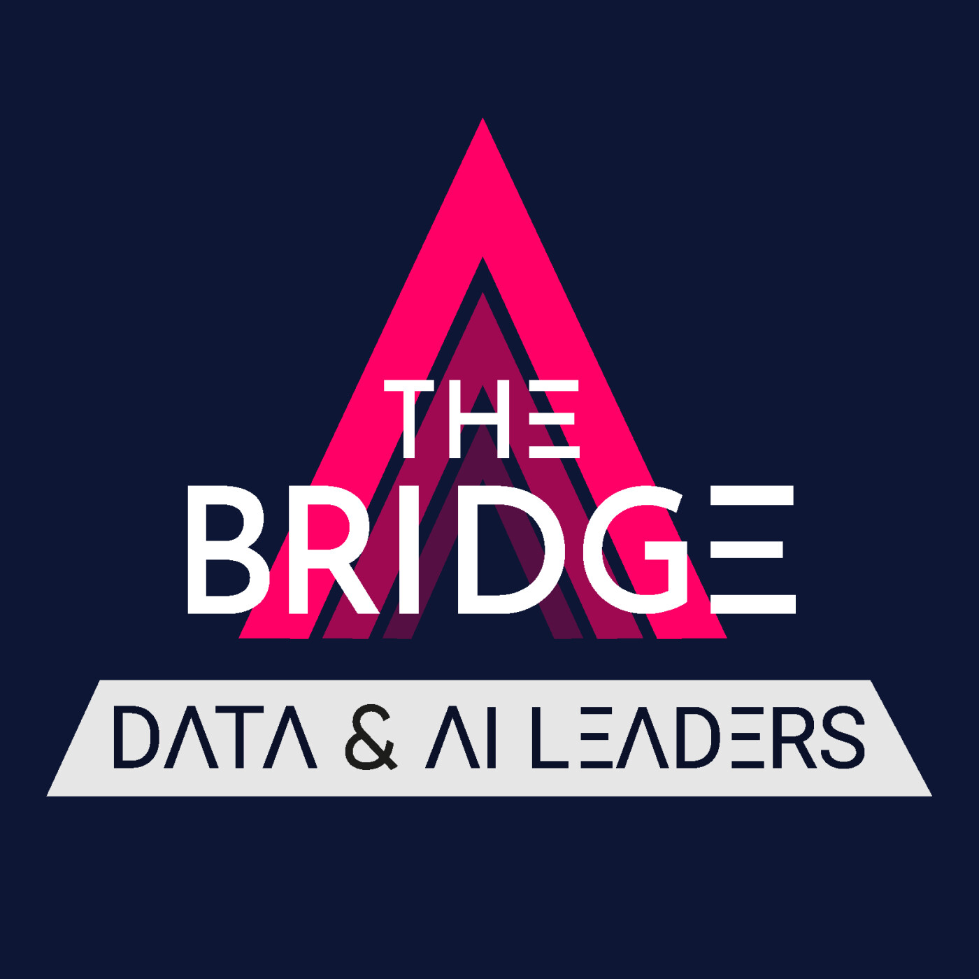 AI in the Private Equity Sector with Elina Ashkinazi-Ildis, Partner & Private Equity Lead at Artefact, and Jérôme Petit, Managing Partner AI in the Private Equity Sector with Elina Ashkinazi-Ildis, Partner & Private Equity Lead at Artefact, and Jérôme Petit, Managing Partner