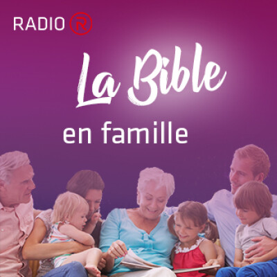 Bible en famille: Les imprévus cover