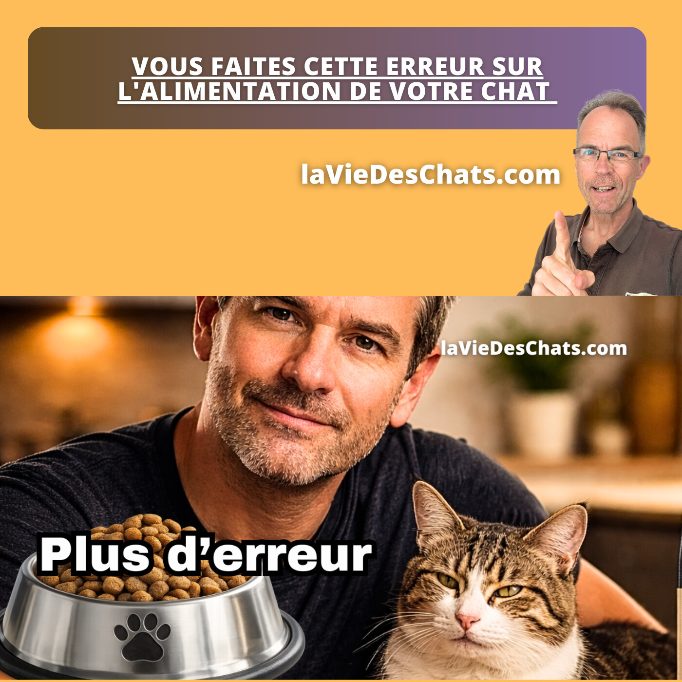 VOUS FAITES CETTE ERREUR SUR LALIMENTATION DE VOTRE CHAT (ET VOICI COMMENT LÉVITER)