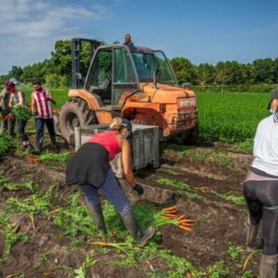 Voyage en agriculture cover