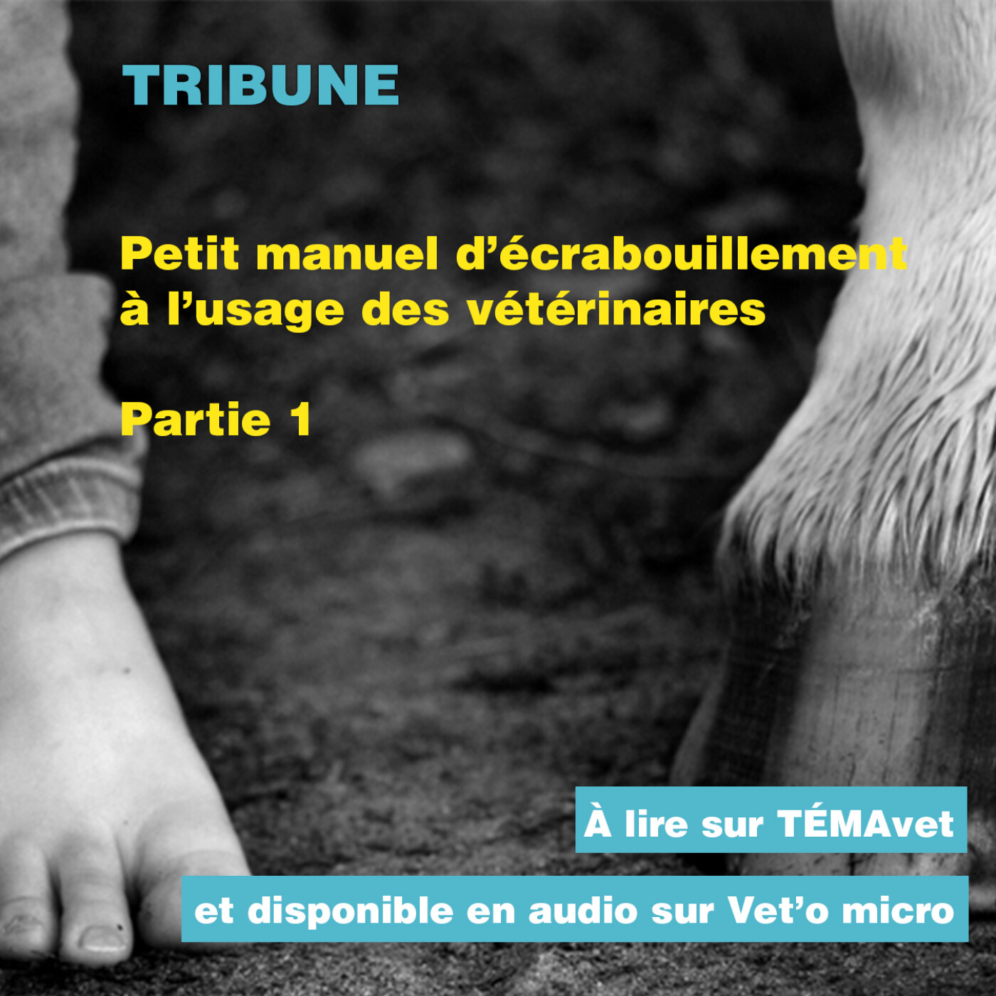 Tribune - Marine Slove - Petit manuel d’écrabouillement à l’usage des vétérinaires – Partie 1
