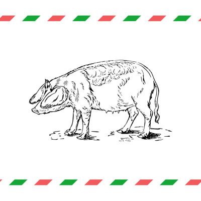 Erik Orsenna - "Unité du vivant" cover