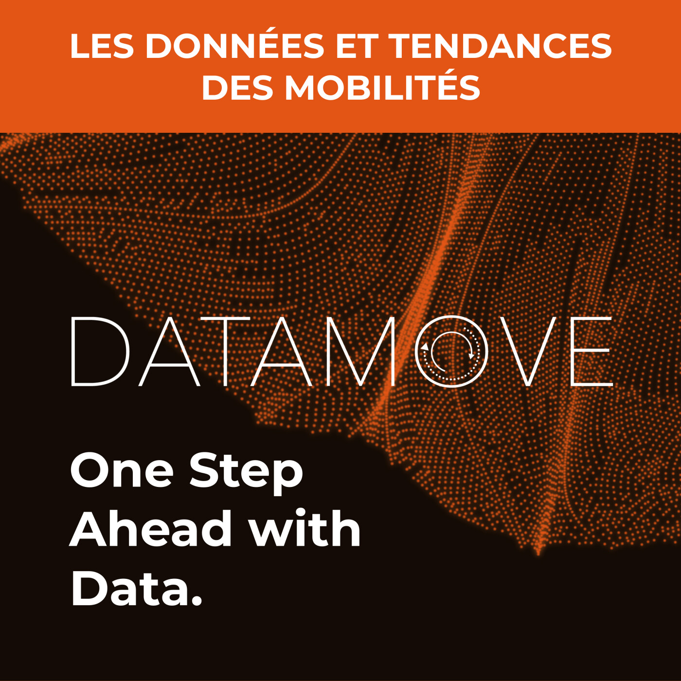 DataMove : pour un débat ouvert sur les mobilités. cover art