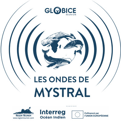 Les ondes de Mystral Ep. 1 : Etudier les baleines à bosse dans l'océan Indien cover