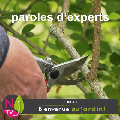 TAILLER LES ARBUSTES DU PRINTEMPS cover