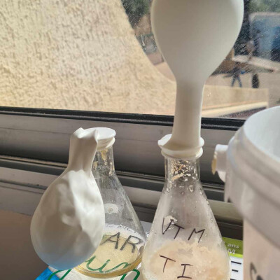 Chercheur à l'école Vannina Lorenzi CP-CE1 Ecole de Carbuccia cover