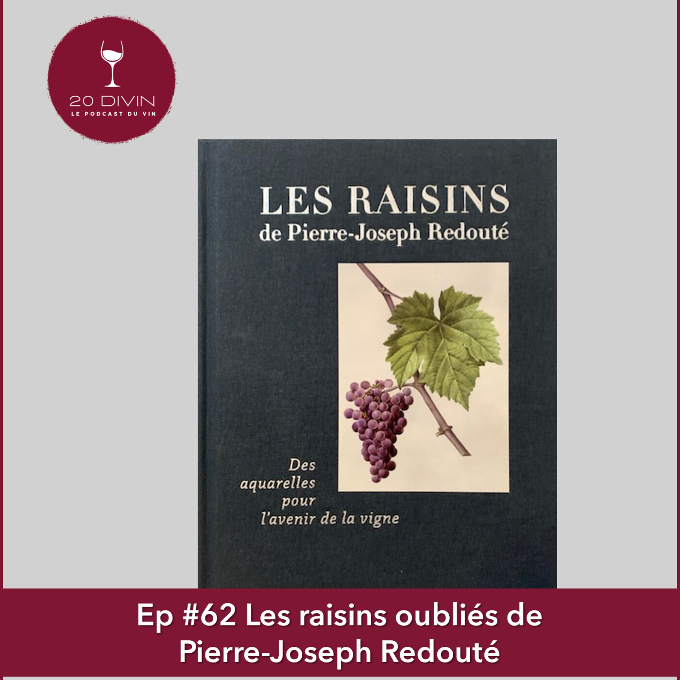 20 Divin #62 : les raisins oubliés de Pierre-Joseph Redouté