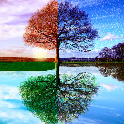 Comment les météorologues établissent les normales saisonnières ? cover