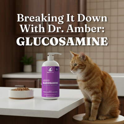 Breaking It Down with Dr. Amber: Glucosamine cover