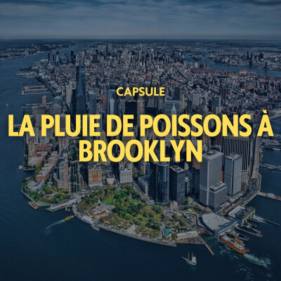 CAPSULE - La pluie de poissons de Brooklyn cover