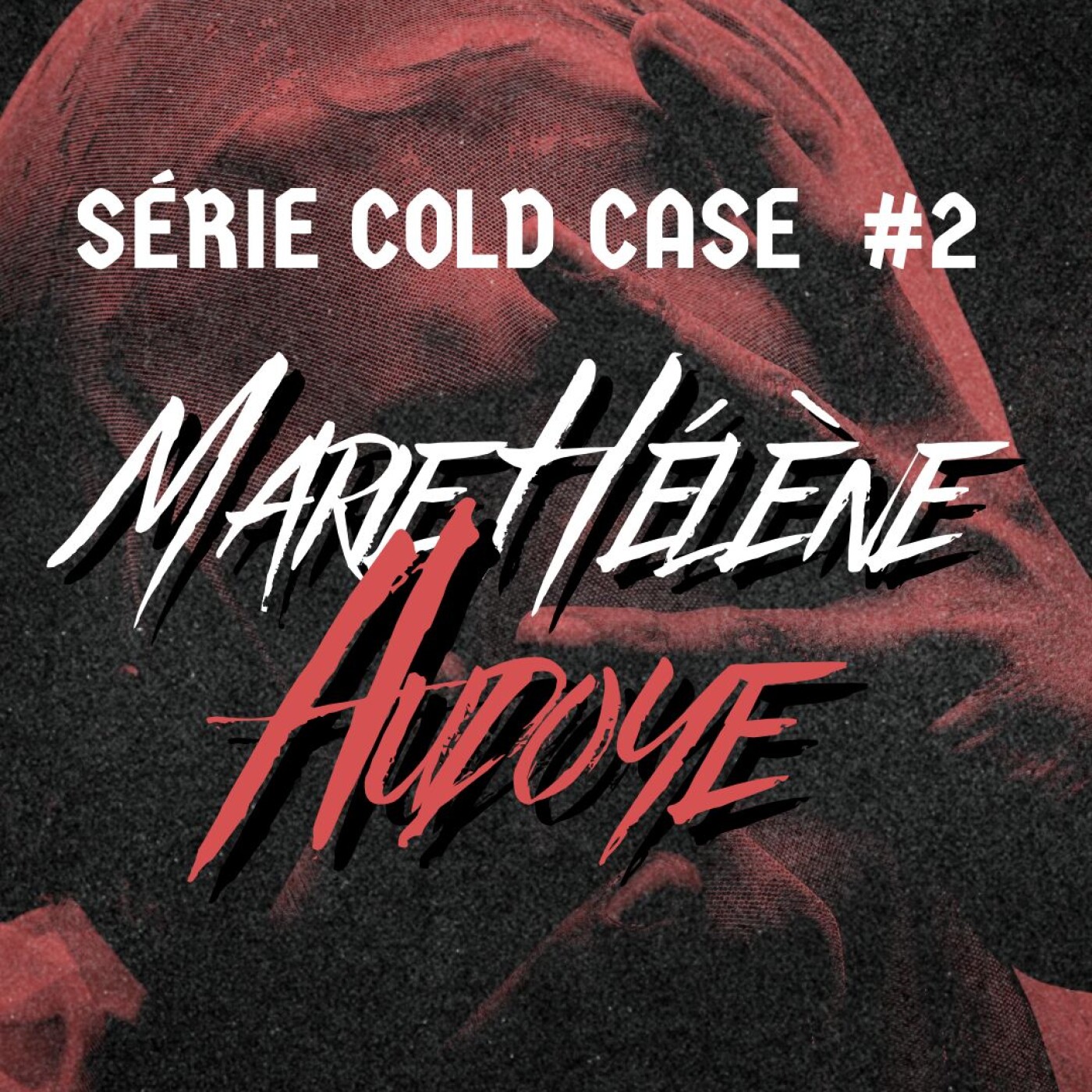 Série Cold Case #2: L'affaire Marie Hélène Audoye