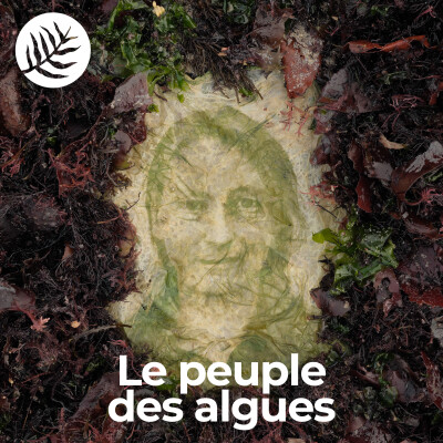 Le Peuple Des Algues : Line Le Gall - Ep3/10 cover