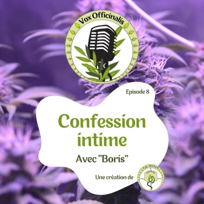 Confession intime avec “Boris“ (S01-E08) cover