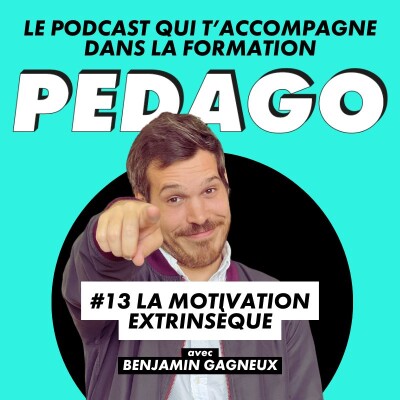 #13 La motivation extrinsèque cover