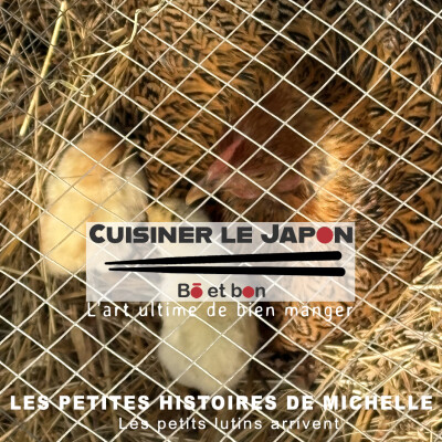 LES PETITES HISTOIRES DE MICHELLE - Les petits lutins arrivent cover