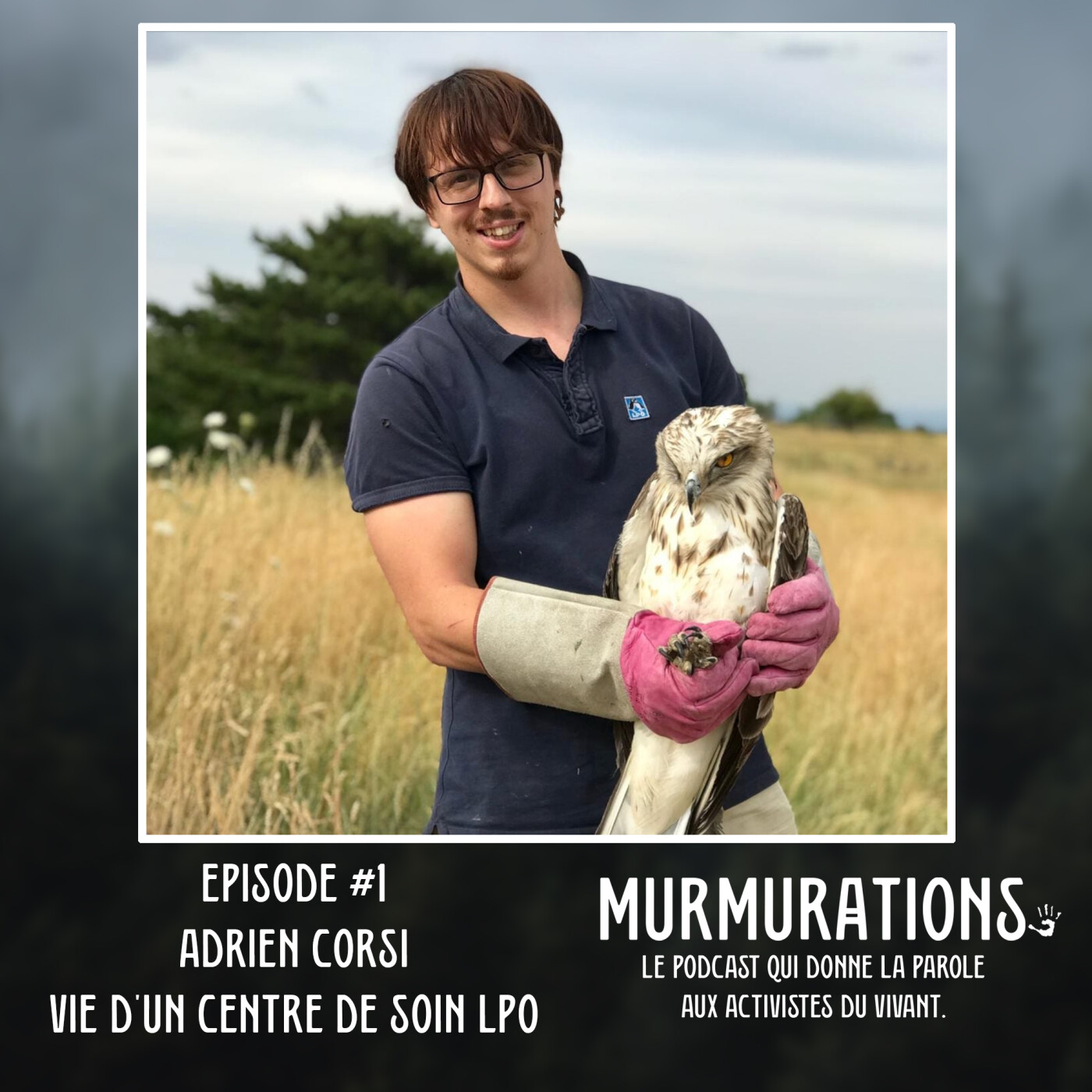Adrien Corsi - Vie d'un centre de sauvegarde / MURMURATIONS LE PODCAST QUI DONNE LA PAROLE AUX ACTIVISTES DU VIVANT