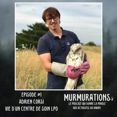 Adrien Corsi, vie d'un centre de sauvegarde - MURMURATIONS cover