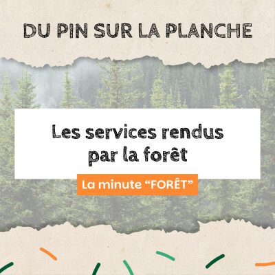 Les services rendus par la forêt - Minute Forêt cover