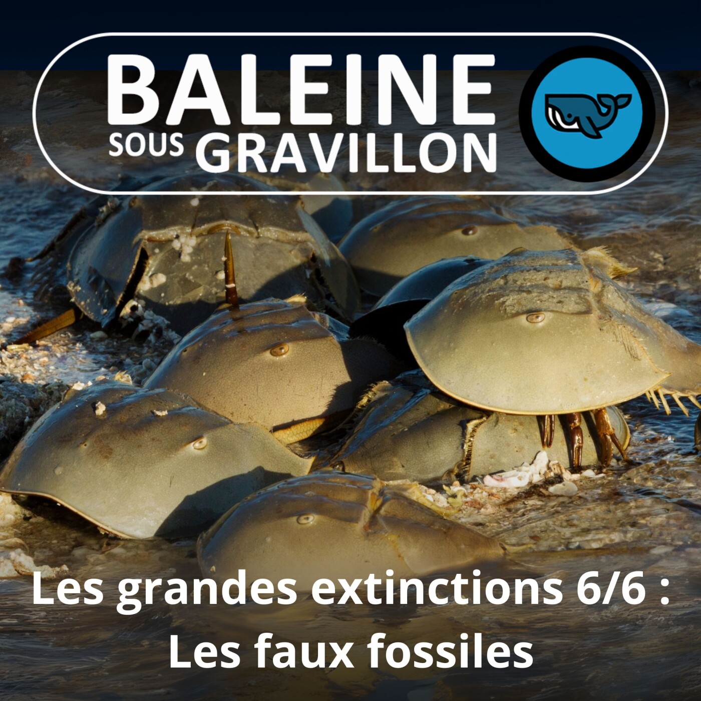 S03E19 Grandes extinctions de masse 6/6 : Dites "panchronique", pas "espèces-reliques" ou "fossile vivant" (Sylvie Crasquin, paléontologue)