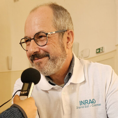 Vacciner la vigne avec Olivier Lemaire (INRAE) cover